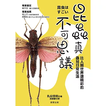 昆蟲真不可思議：比人類世界還精采的蟲兒日常生活