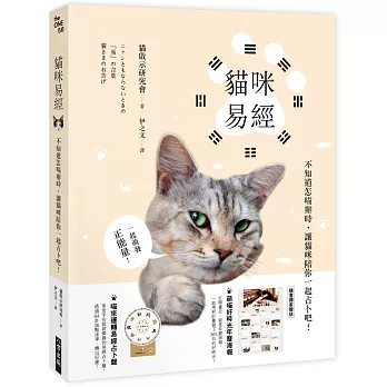 貓咪易經：不知道怎喵辦時，讓貓咪陪你一起占卜吧！