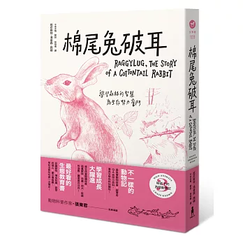 給孩子的西頓動物記3：棉尾兔破耳