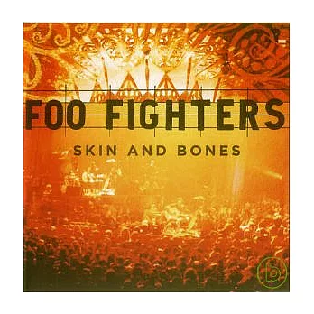 Foo Fighters / Skin And Bones