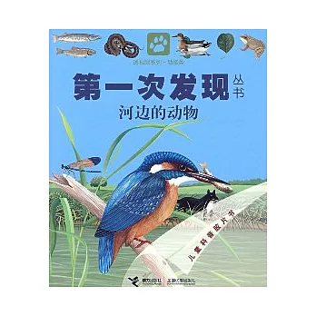 河邊的動物