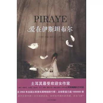愛在伊斯坦布爾