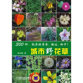 城市野花草