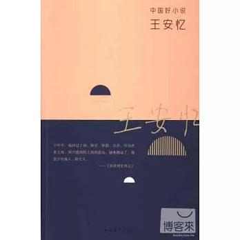 中國好小說:王安憶