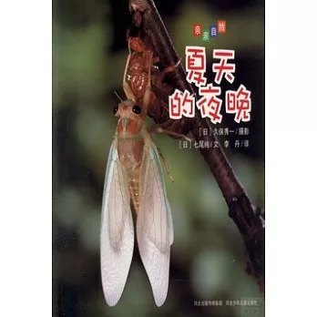 親親自然：夏天的夜晚