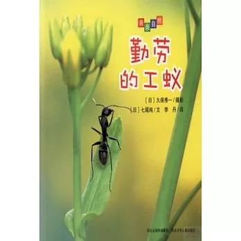 親親自然：勤勞的工蟻