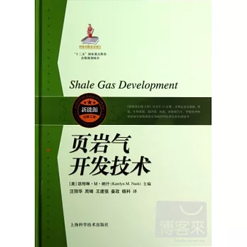 頁岩氣開發技術