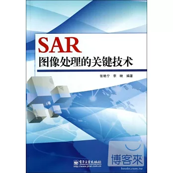 SAR圖像處理的關鍵技術