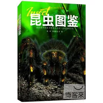 昆蟲圖鑒