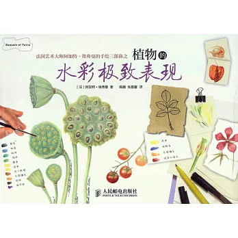 植物的水彩極致表現