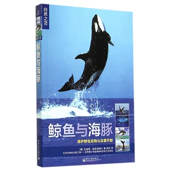 自然之靈：鯨魚與海豚