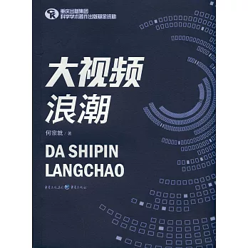 大視頻浪潮