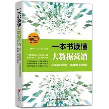 一本書讀懂大數據營銷