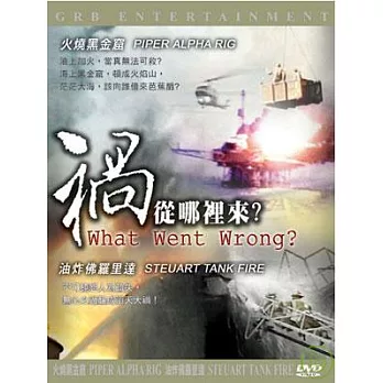 禍從哪裡來-油炸佛羅里達/火燒黑金窟 DVD