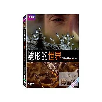 隱形的世界 DVD