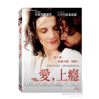 愛，上癮 DVD