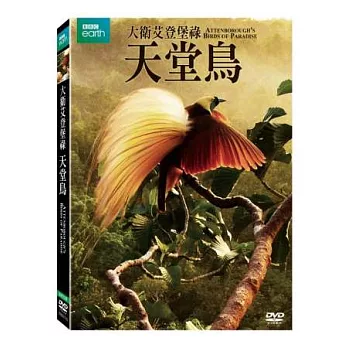 大衛艾登堡祿：天堂鳥 DVD