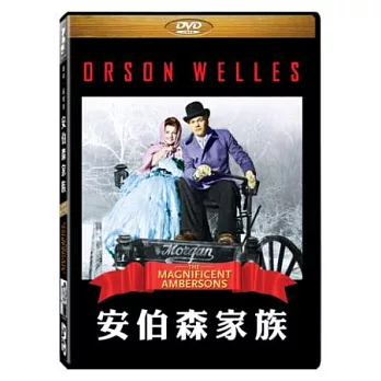 安伯森家族 DVD