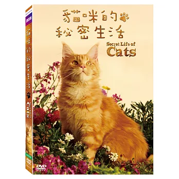 貓咪的秘密生活 DVD
