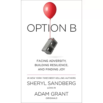 Option B: Facing Adversity, Building Resilience and Finding Joy