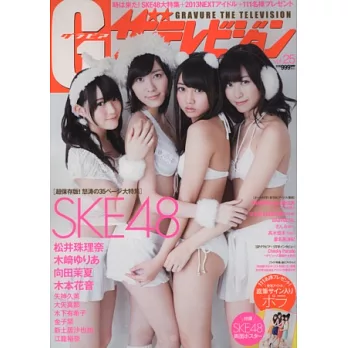 新世代電視女星性感寫真 VOL.25：SKE48