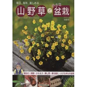 四季山野草與小巧盆栽種植技巧講座