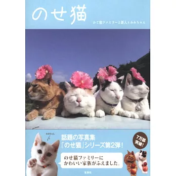 日本籃子貓超可愛逗趣造型寫真秀