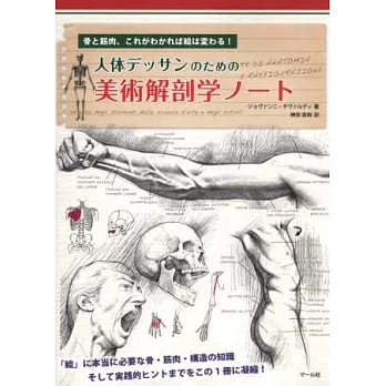 專業美術素描人體構造解剖學講座