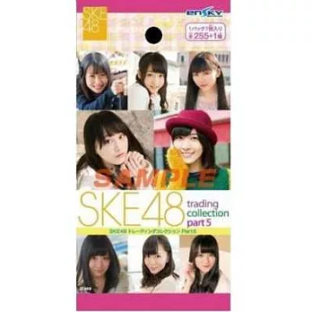 SKE48明星寫真收藏卡 PART.5