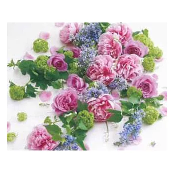 李家幽竹花風水2015年月曆