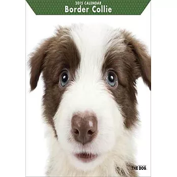 大頭狗-邊境牧羊犬2015年掛曆 (28頁)
