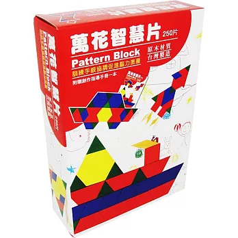 萬花智慧片--250PCS（Pattern Block）