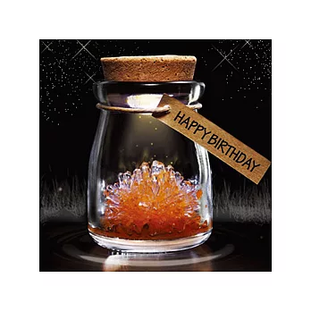 夜光晶靈御守護-生日快樂