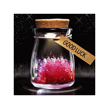 夜光晶靈御守護-好運連連