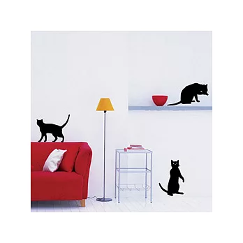 《 SPOT 》創意壁貼 –流浪貓