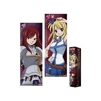 魔導少年B款(露西+艾爾莎)-海報組(長型)