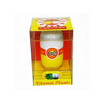 Vitamin Plants維他命植栽-幸福(黃)黃色幸福膠囊