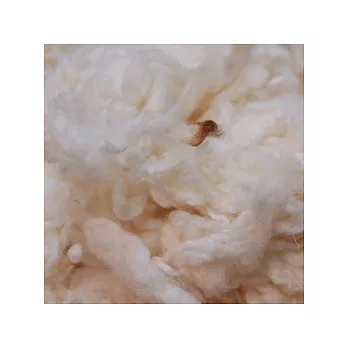 美麗諾QQ原型羊毛-10g裝(羊毛氈)