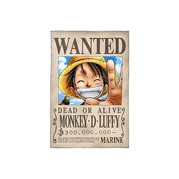 海賊王魯夫懸賞拼圖204片