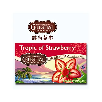 詩尚草本(celestial seasonings)草莓風情茶 (20包)