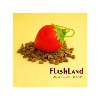 TCELL冠元 Flash Land快閃森林系列-4GB莓咩
