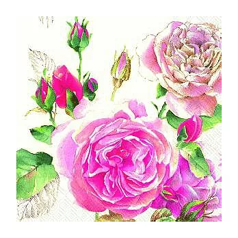 蝶古巴特藝術餐巾紙 [經典玫瑰]