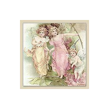 蝶古巴特藝術餐巾紙 [彩繪小鳥]