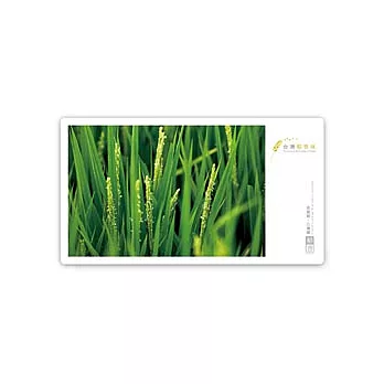 【 frogfree.com 】台灣稻香味系列明信片-稻香系列一套