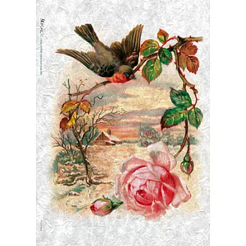 蝶古巴特 藝術棉紙 [粉紅玫瑰]