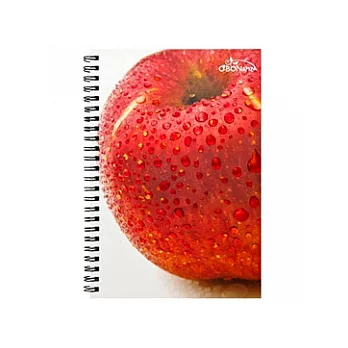 美國O’BON環保甘蔗筆記本(A6)水果系列Apple