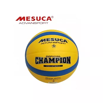 【Party World】《MESUCA》5號雙色PU仿皮紋排球MVO0936☆全民運動健康休閒