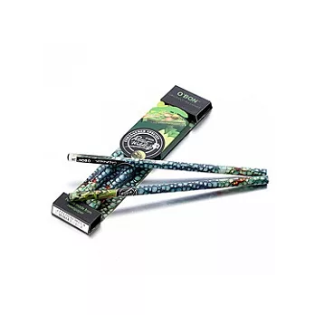 環保報紙鉛筆_變色龍2B主題鉛筆(2支裝)