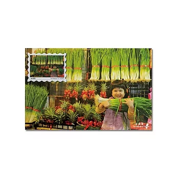 郵票造型磁鐵明信片(宜蘭蔥)
