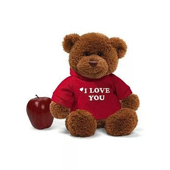 美國Gund 帽T泰迪熊-我愛妳